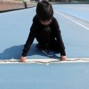 인라인경기장 이미지