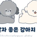 팔자좋은강아지 이미지