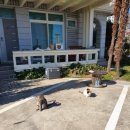 종고산길 이미지