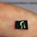 네이처 잉크 이미지