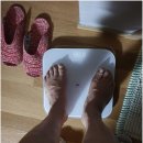 안산행정사사무소 이미지