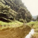 기찬고기 - 안산시 상록구 성안2길 12 | 기찬고기