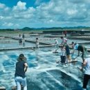 명신관광 이미지