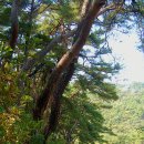 2011스케치 이미지