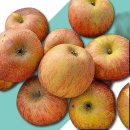 주식회사 팜2팜 이미지