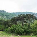 천태산주차장 이미지