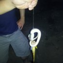 매운탕거리 이미지