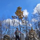 평창 백룡동굴 이미지