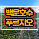 숲속의아침 이미지