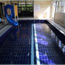 두몽&달금 이미지