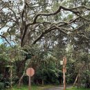 별타고스테이션 이미지