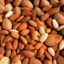 견과 하루 이미지