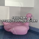 [전남 광양] 광양 풀빌라&amp;개별 수영장 펜션 플럼블라썸