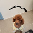 따봉미용실