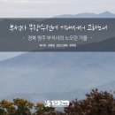 에스제이컬쳐 이미지