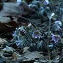 구름동산 이미지