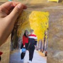 [충북 괴산 여행] 문광저수지 은행나무길 단풍 후기(11.1일 단풍정도)
