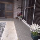 카리브민박 | 이시가키섬 최고의 숙소 선택 가이드 여행 목적별 오션뷰 가성비 독채 총정리