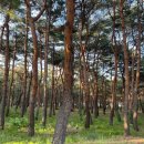 엘클래식의원 이미지