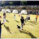 푸른바다독스쿨 이미지