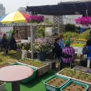 행운동-10 이미지