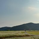 용인조정경기장 이미지