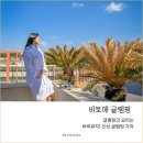 세븐일레븐부산구명원룸점 | 경남 신상 글램핑 사천 비토애 키즈 부산 근교 온수풀 숙소 추천