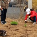 정신건강증진센터 이미지