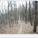 유금1리 이미지