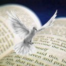 White sunday(화이트선데이) 이미지