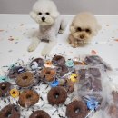 올데이올가닉 이미지