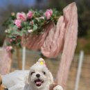 멍스토리 이미지