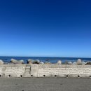 금두꺼비 민박 이미지