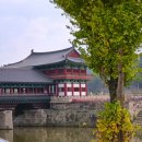 엄마랑 가을 경주 단풍여행, 비단벌레 전동차 후기