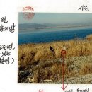 낙동강변2 이미지