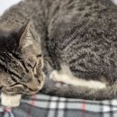 아지야 놀자 이미지