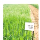 천지원 농장 이미지