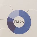 20240714_미세먼지(particulate matter) 이미지