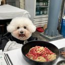 횡성전통시장 | 횡성전통시장 육회비빔밥과 육회쫄면 현지인 맛집 &#39;행복식당&#39;