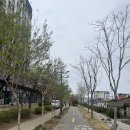 시골책방자몽 | 겁쟁이는 행복도 겁낸다는데 / 2026年 04月