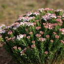 뿌리목장 이미지