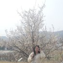 리앙뜨 | [여행] 강화도 감성 숙소 추천/리앙뜨 펜션/강화도 태교여행/내돈내산