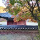 천년 행정사 이미지