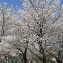 화랑유원지2주차장 입구 이미지