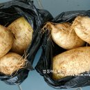 샬롬주유소 이미지