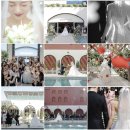 W.4 본식 스냅 | 대구 본식스냅업체 비교[스튜디오리라,디보션필름,브라이덜꽃길,오호스마론]