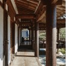 금산꽃차마을 | [대구 달성군] 대구 근교 카페 묘운 후기 | 자연 속 고요함이 머무는 전통 한옥 감성 카페 🌳🪵 (주차...