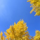 여주-1093 이미지