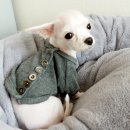 엘르독 | 엘르독 무중력애견방석 구매 후기