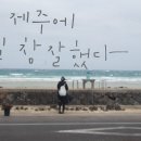 제주에 오길 잘했다 이미지